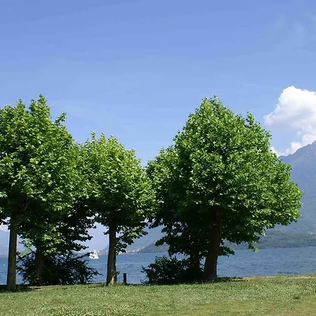 Bellavista Dongo