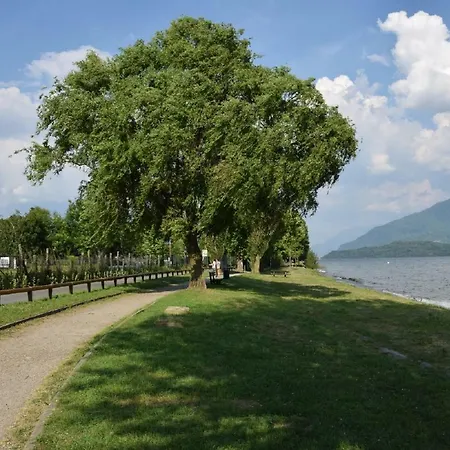 Bellavista Daire